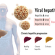 There are two main forms of hepatitis virus, one that spreads through food and water (type A) and two kinds that are blood-borne (types B and C).